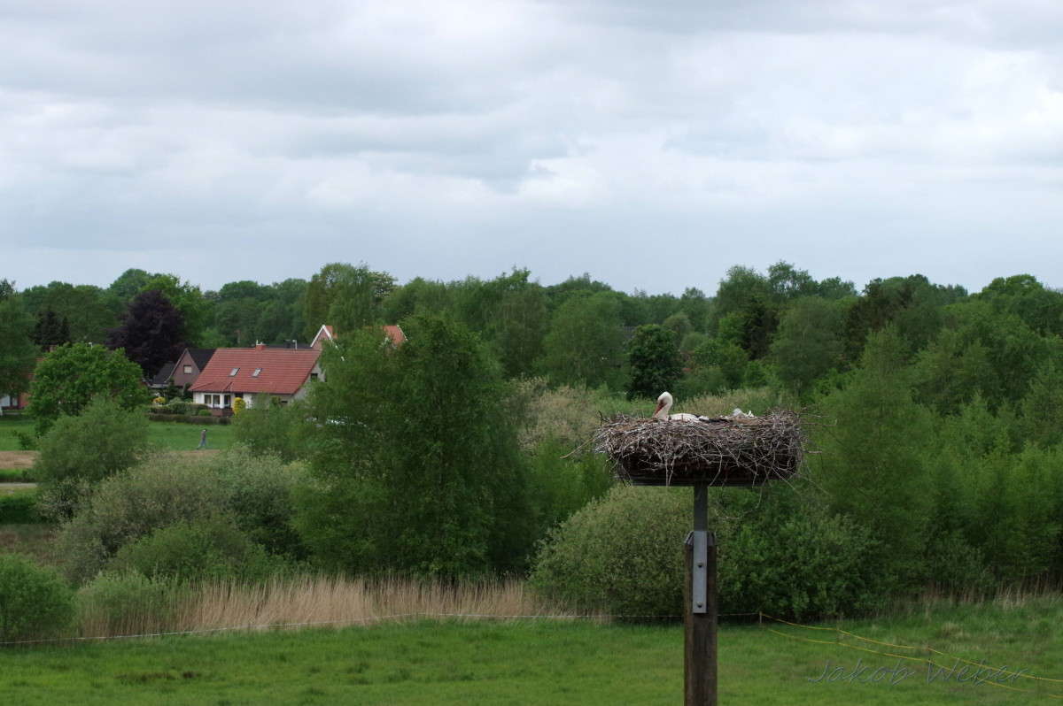 ���� �� ������. 6 �������. ����� ���� ����� �� PhotoGeek.ru #�������� ��� #������ ��� ������� #����� ��� ��� ���������