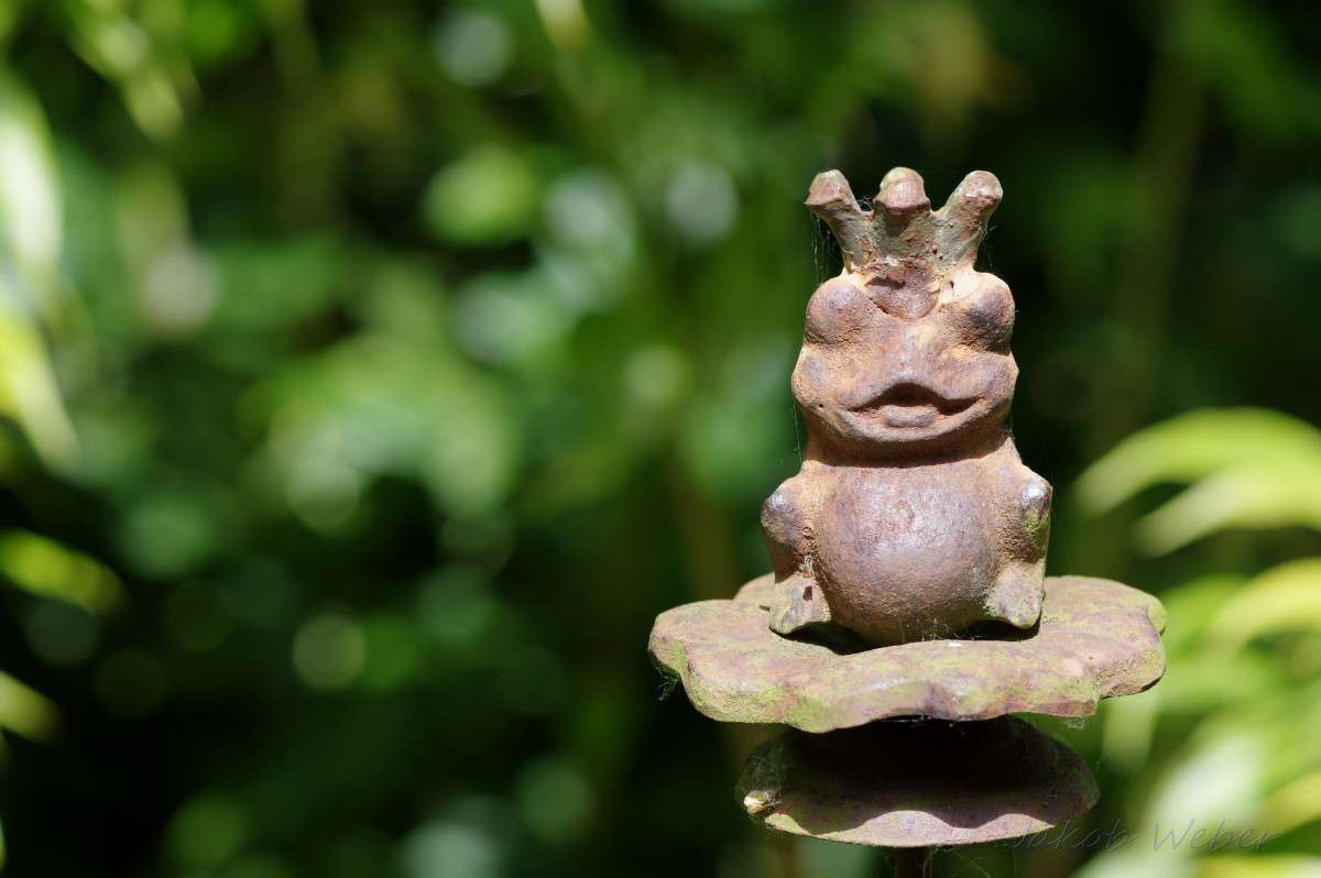 ������� �������. ����� ���� ����� �� PhotoGeek.ru #����� #������ ��� ������� #�������� ���������� #������ #����� ��������