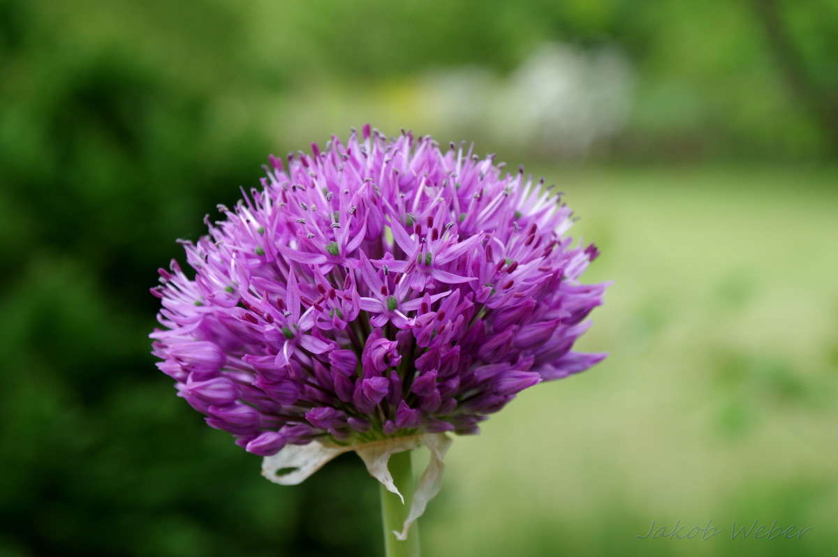 ��������� ����� ���� ����� �� PhotoGeek.ru #������ ��� ������� #�������� ���������� #����� �������������� #������