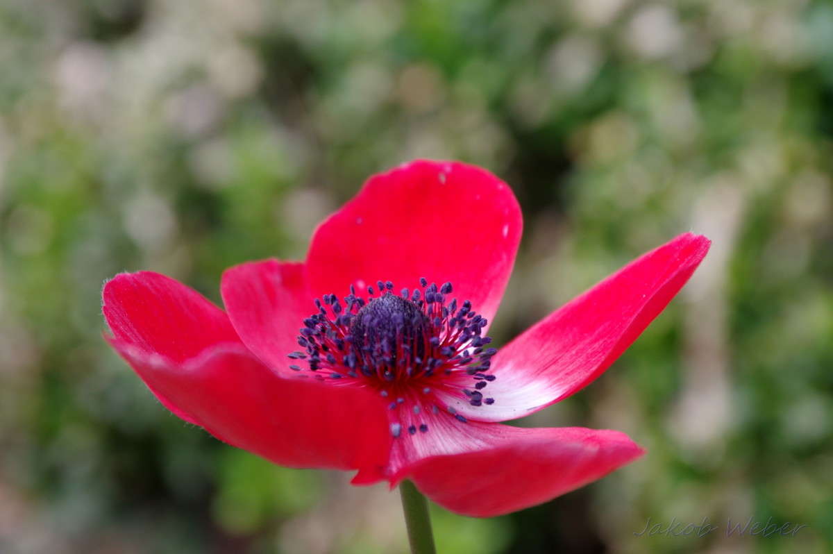 ���� ����� ���� ����� �� PhotoGeek.ru #������ ��� ������� #�������� ���������� #����� �������������� #������