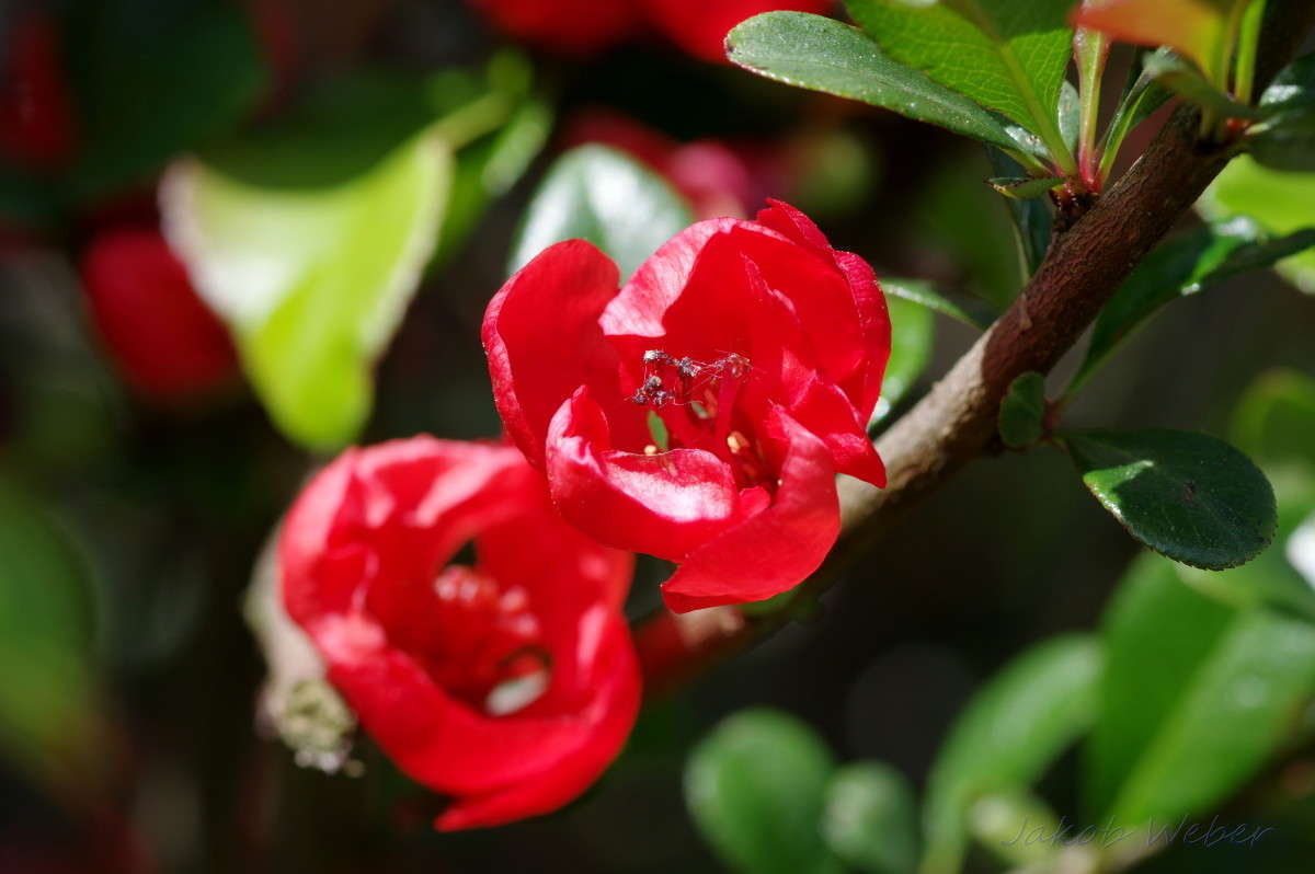 ���� �������� ����� ���� ����� �� PhotoGeek.ru #������ ��� ������� #�������� ���������� #����� �������������� #������