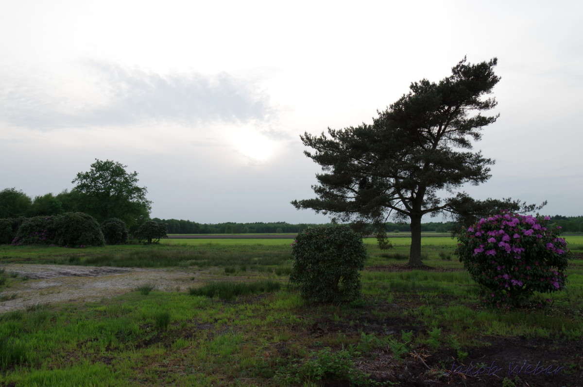 ������������ ����� ���� ����� �� PhotoGeek.ru #������ ��� ������� #�������� ���������� #����� �������������� #������