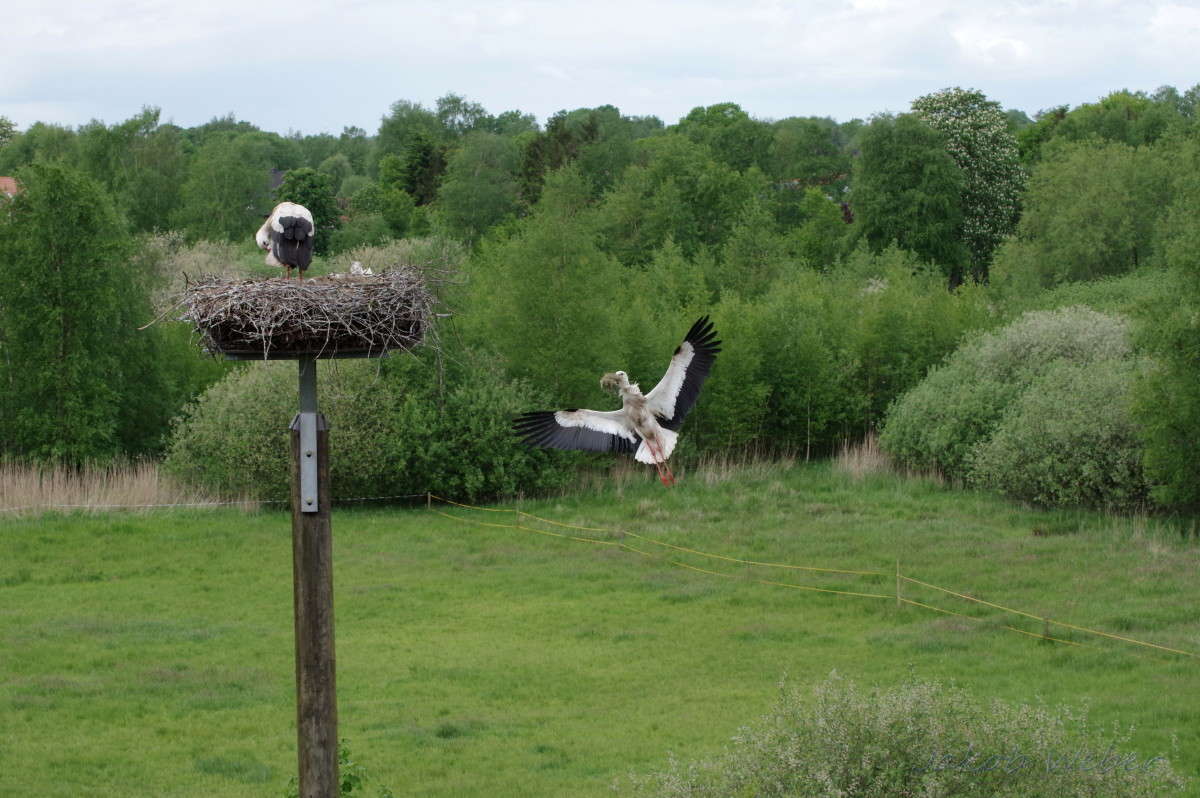 ���� �� ������ ����� ���� ����� �� PhotoGeek.ru #�������� ��� #������ ��� ������� #�������� ���������� #����� ��� ��� ���������