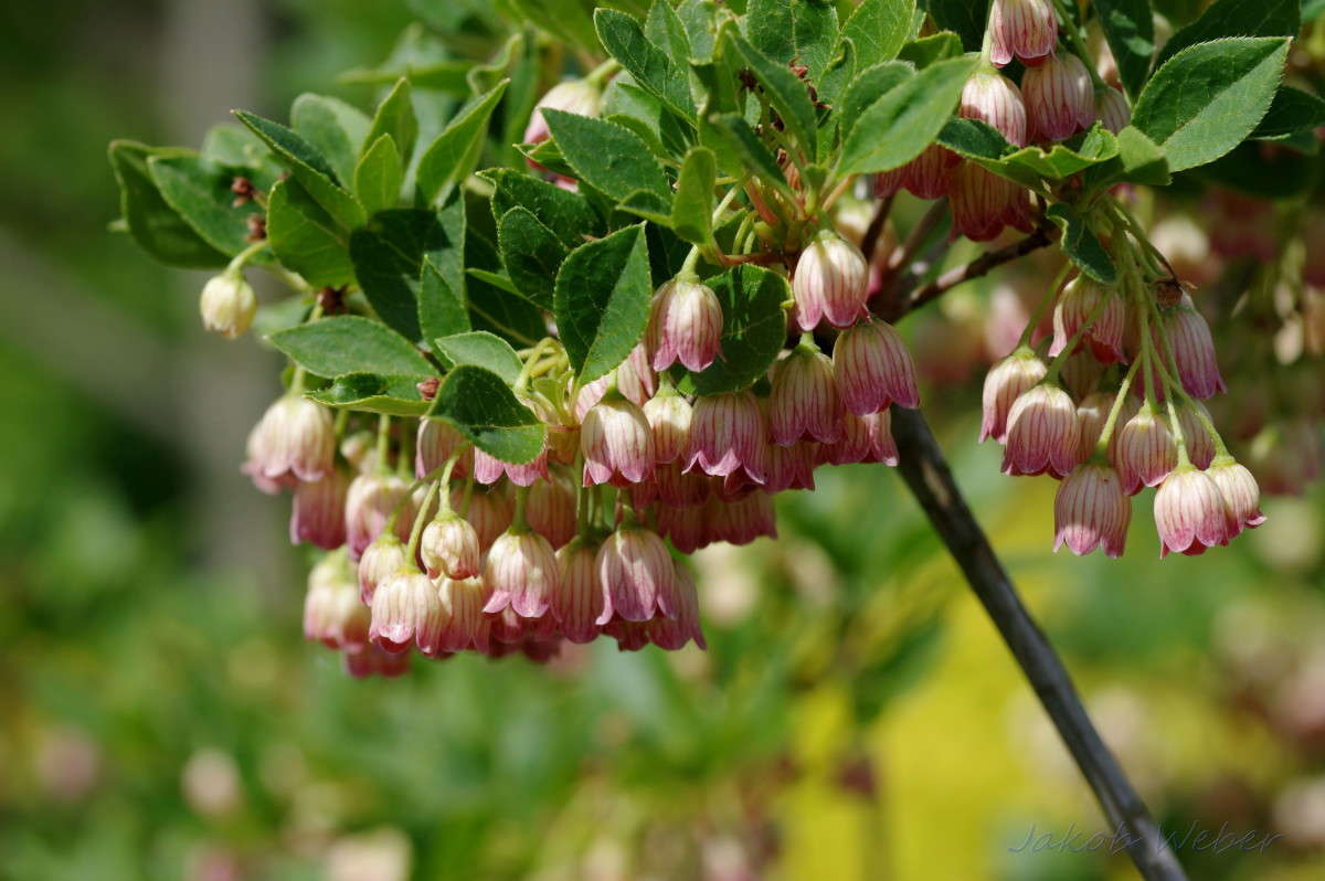 ����������� ����� ���� ����� �� PhotoGeek.ru #������ ��� ������� #����� �������������� #������