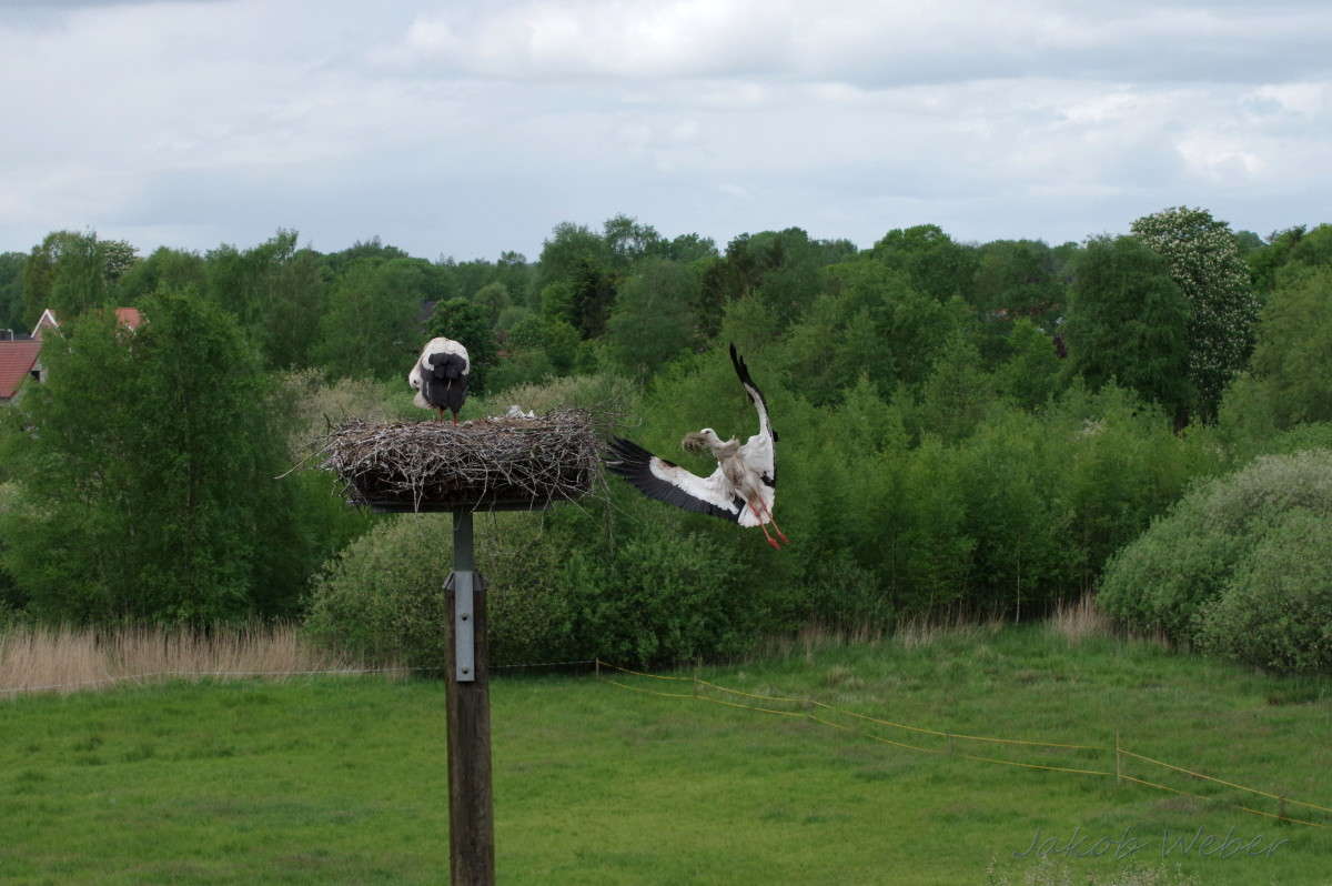 ���� �� ������ ����� ���� ����� �� PhotoGeek.ru #�������� ��� #������ ��� ������� #����� ��� ��� ���������