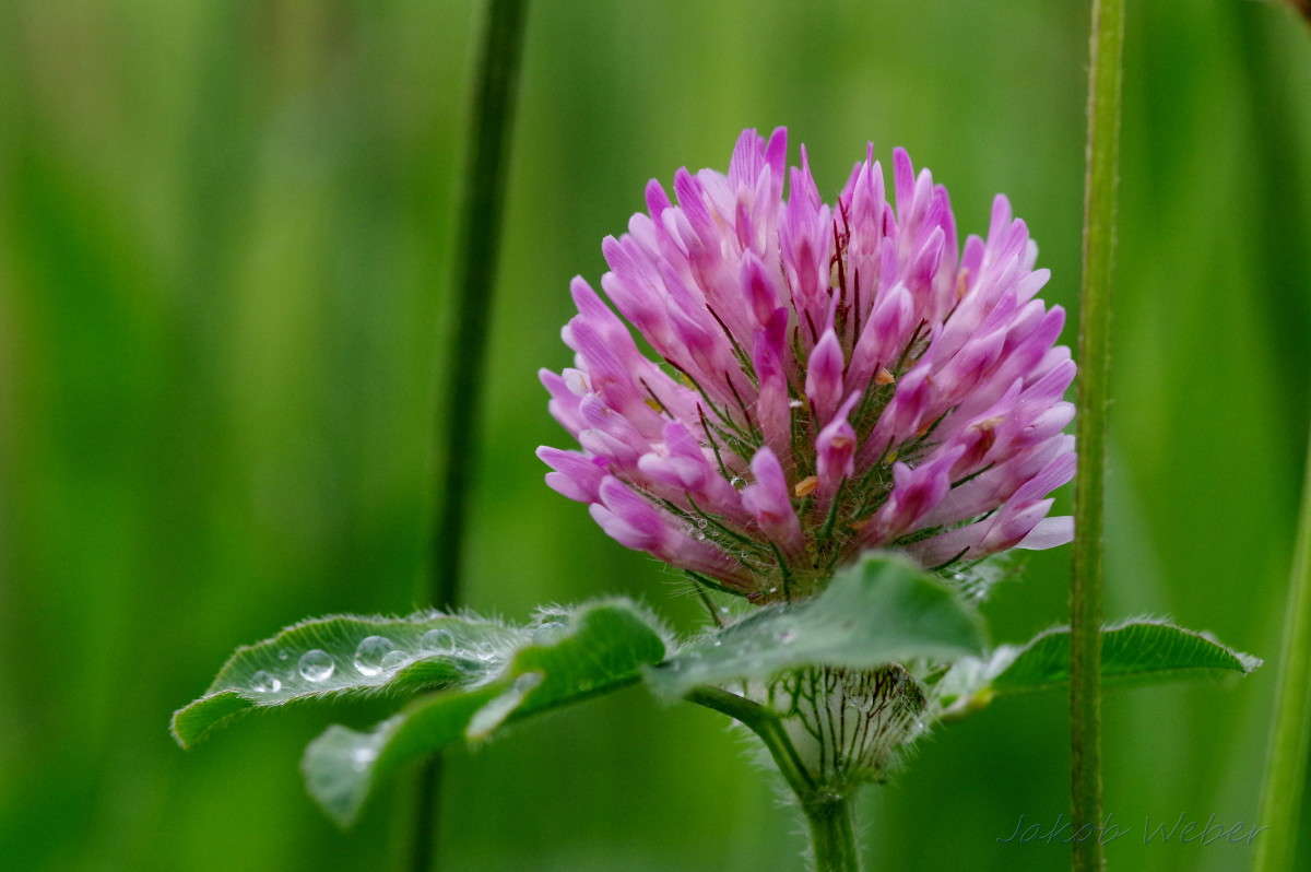 ���������� ����� ���� ����� �� PhotoGeek.ru #����� #������ ��� ������� #����� �������������� #������