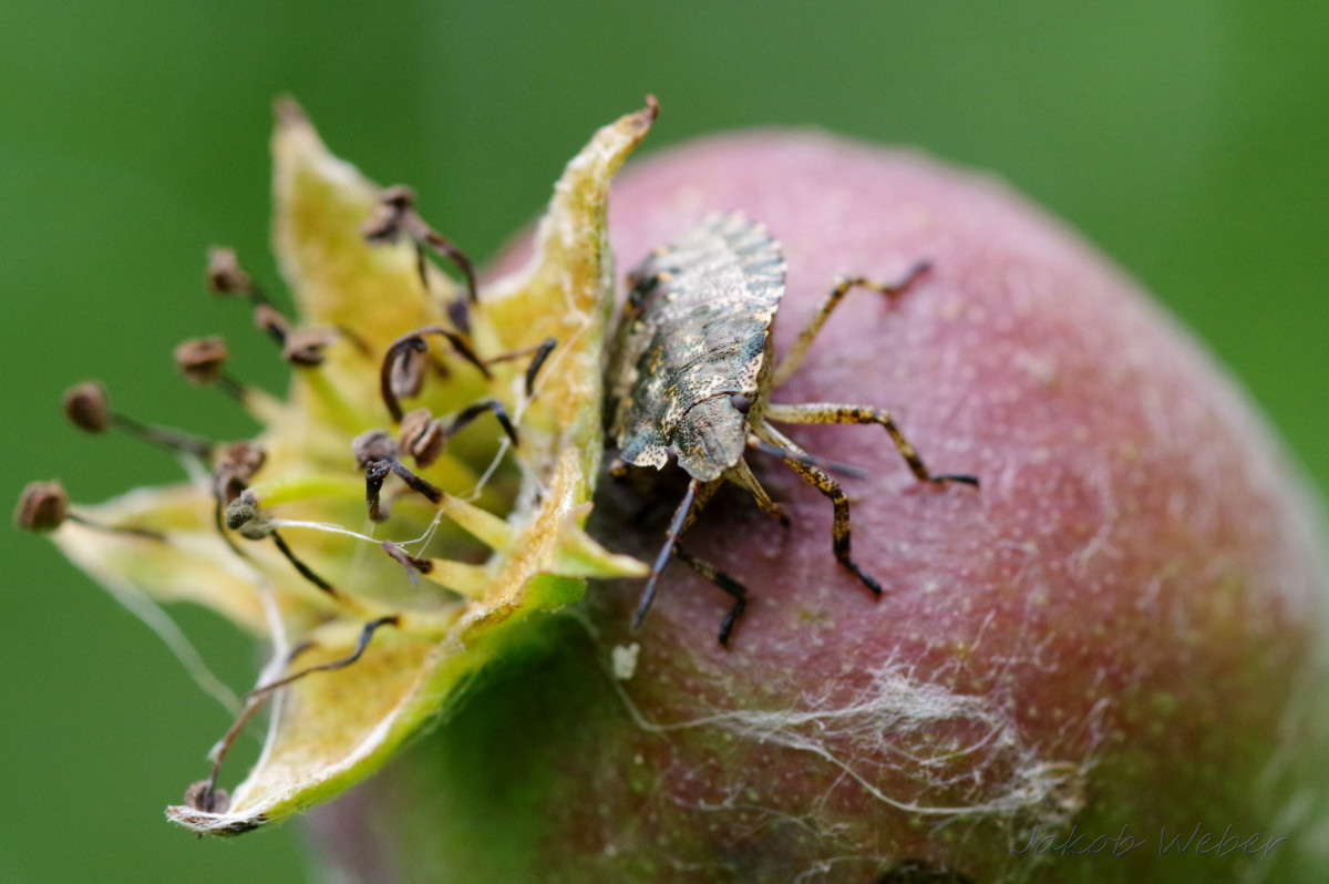 ����� ����� ���� ����� �� PhotoGeek.ru #����� #������ ��� ������� #�������� ���������� #����� �������������� #��������� #������