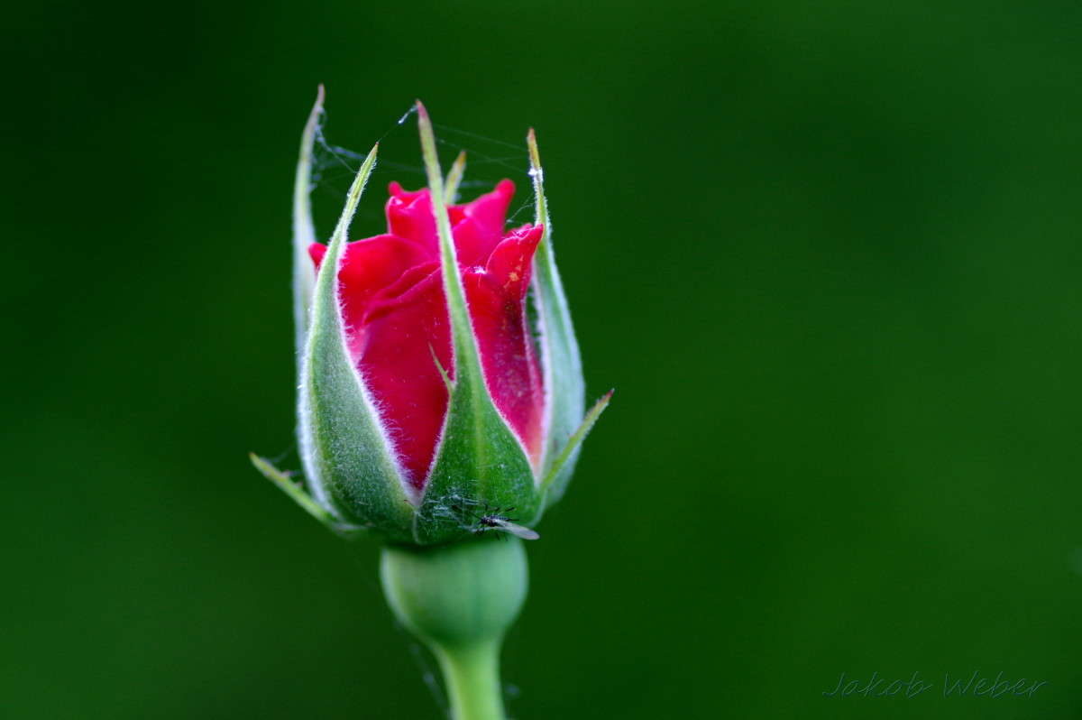 ������ ����� ���� ����� �� PhotoGeek.ru #����� #�������� ��� #������ ��� ������� #����� �������������� #��������� #������