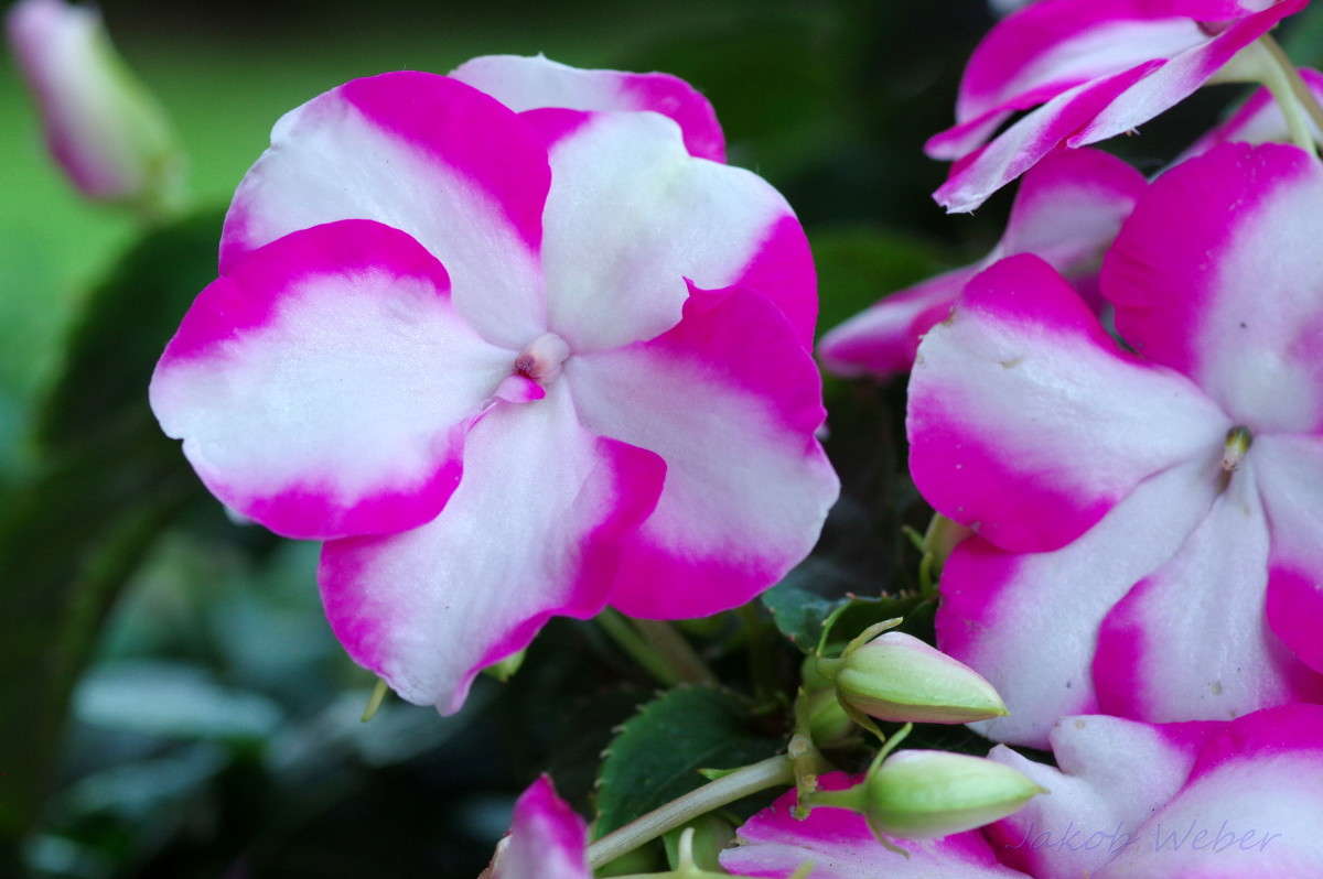 ��������� ����� ���� ����� �� PhotoGeek.ru #����� #������ ��� ������� #����� �������������� #������