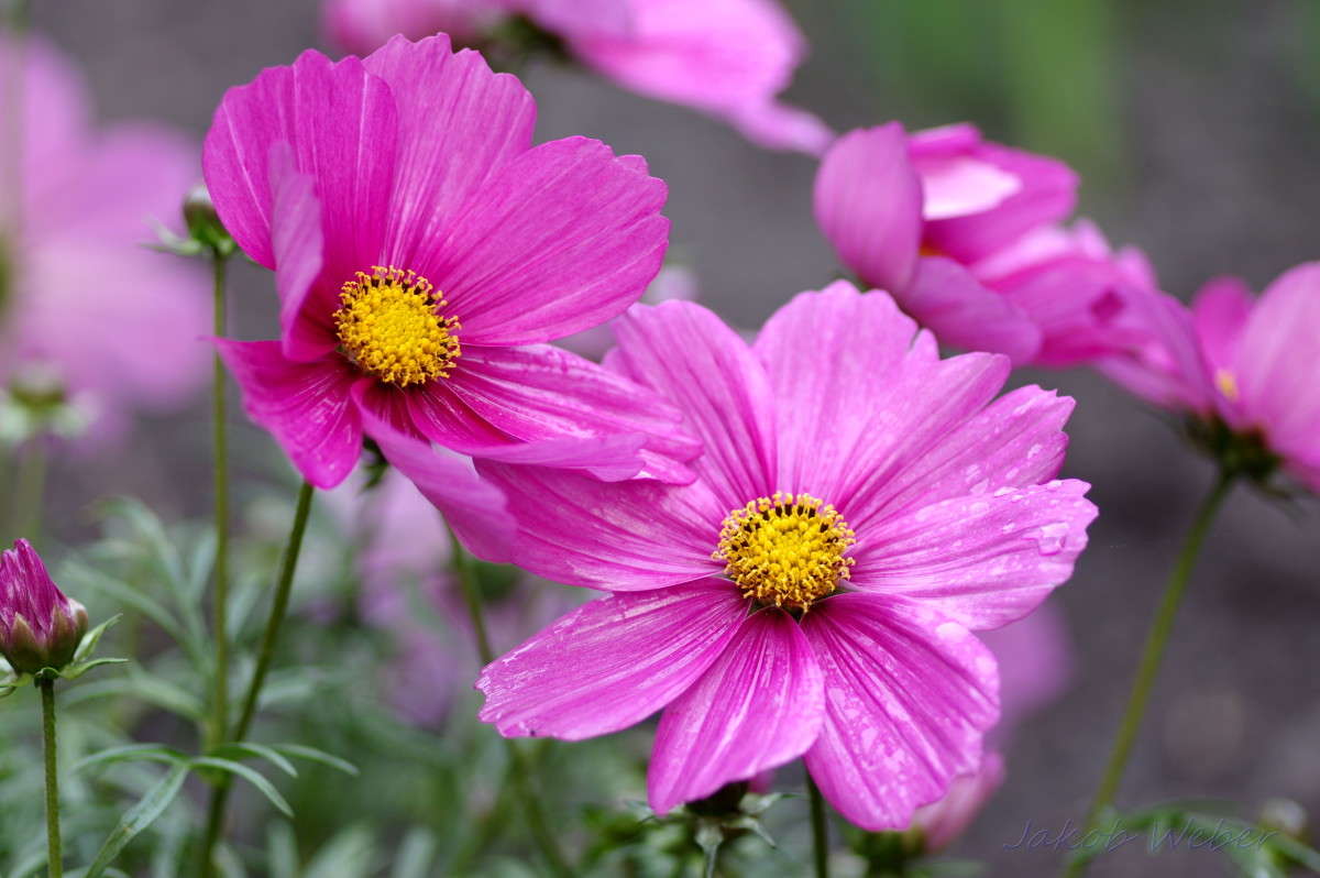 ������������ ����� ���� ����� �� PhotoGeek.ru #����� #������ ��� ������� #����� ��������������