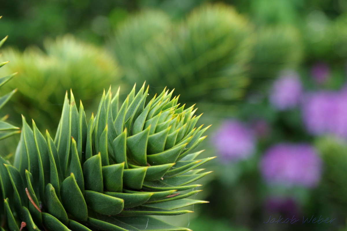 ��������� ��������� ����� ���� ����� �� PhotoGeek.ru #������ ��� ������� #�������� ���������� #����� �������������� #������