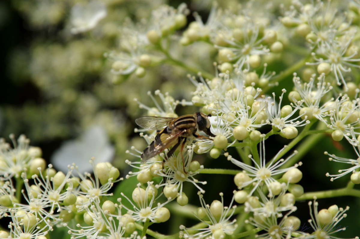 ������ ����� ���� ����� �� PhotoGeek.ru #�������� ��� #������ ��� ������� #����� ��� ��� ��������� #����� �������������� #������