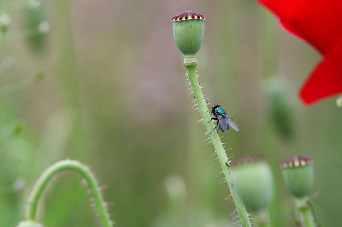 ������� ����� ���� ����� �� PhotoGeek.ru #�������� ��� #������ ��� ������� #����� �������������� #������