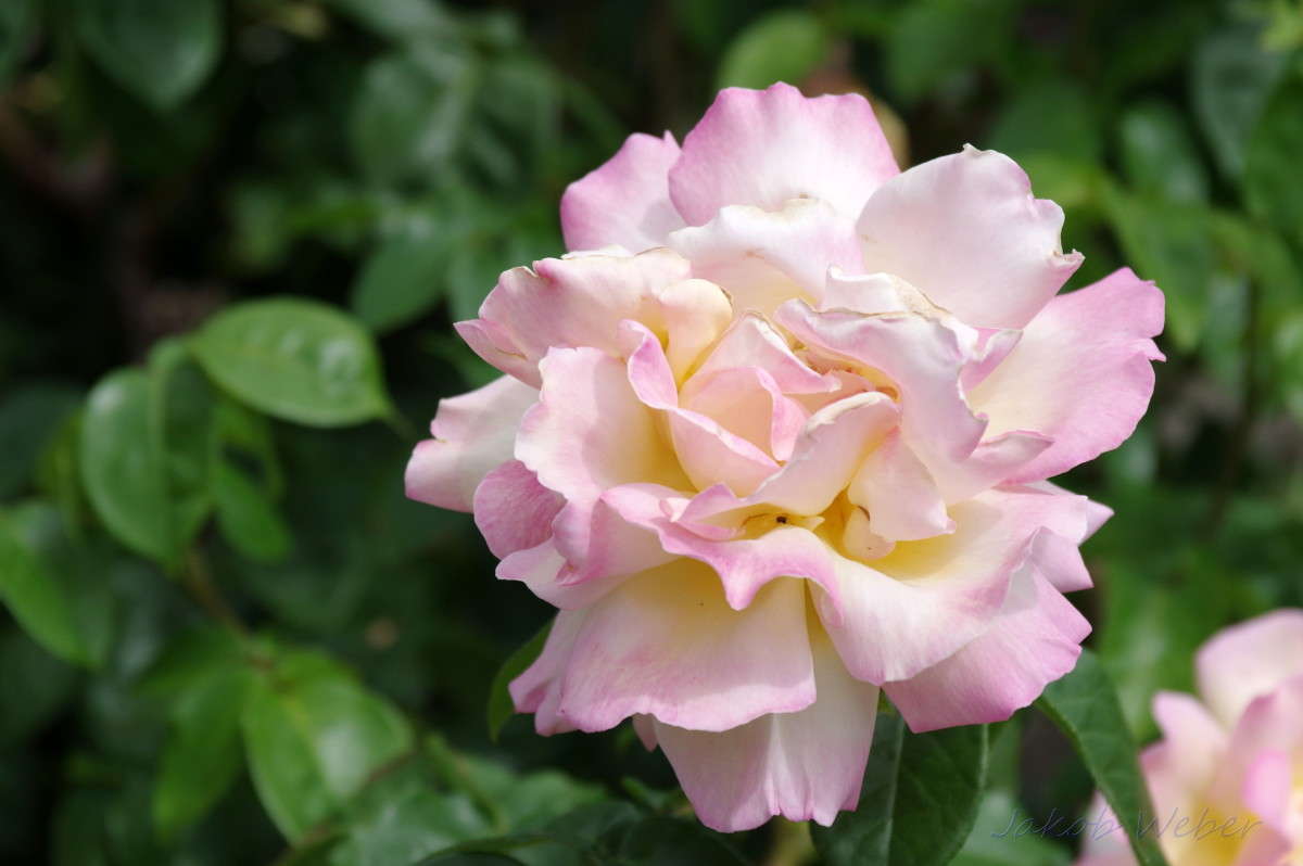 ���� ���� ����� ���� ����� �� PhotoGeek.ru #������ ��� ������� #�������� ���������� #����� �������������� #������