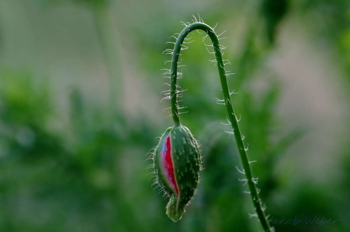 ��� ������������ ����� ���� ����� �� PhotoGeek.ru #������ ��� ������� #�������� ���������� #����� �������������� #������