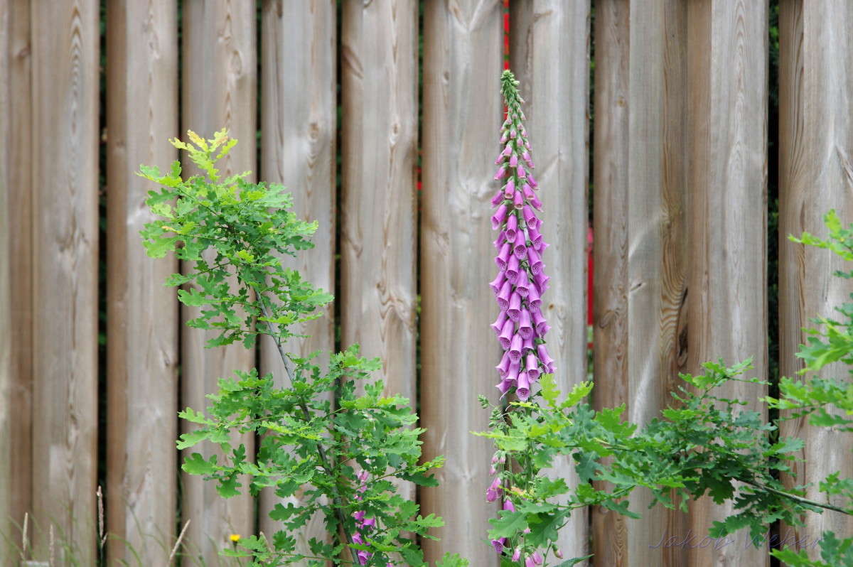 ����������� ��������� ����� ���� ����� �� PhotoGeek.ru #������ ��� ������� #�������� ���������� #����� �������������� #������