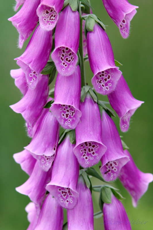 ��������� ����� ���� ����� �� PhotoGeek.ru #����� #������ ��� ������� #����� �������������� #������