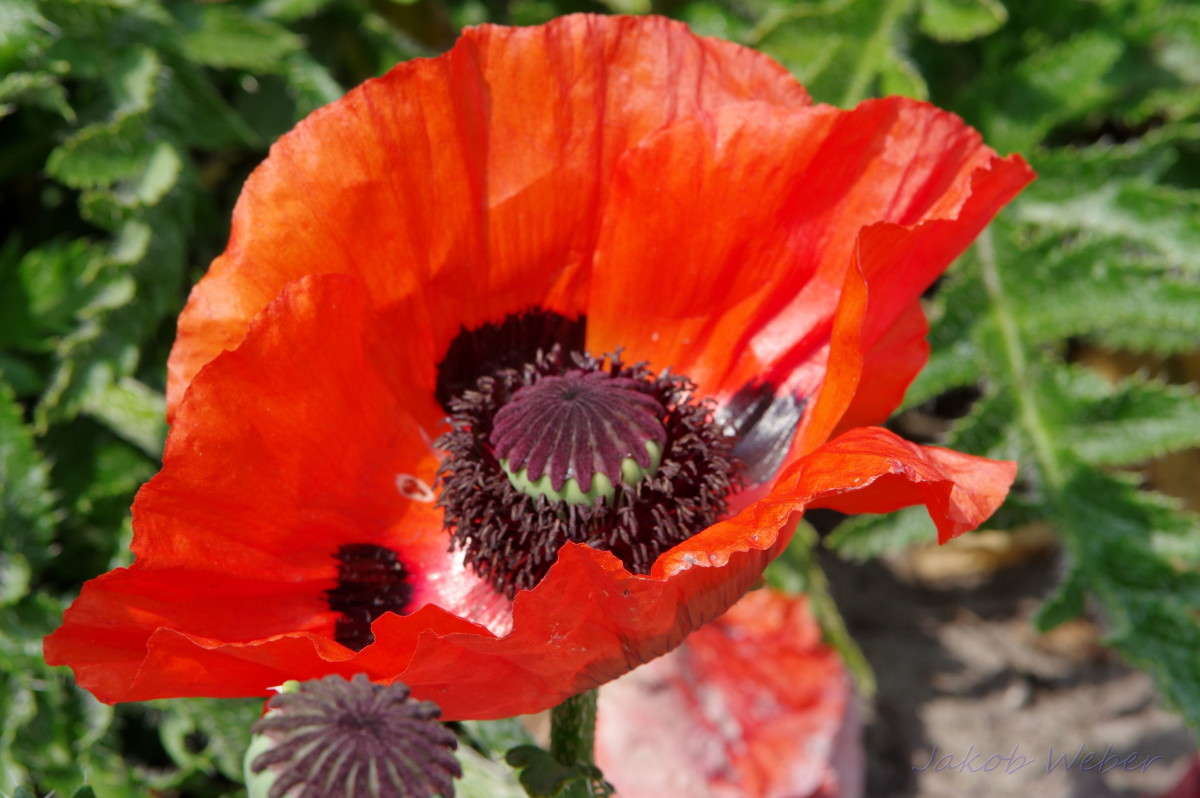 ��� ���������� ����� ���� ����� �� PhotoGeek.ru #������ ��� ������� #�������� ���������� #����� �������������� #������