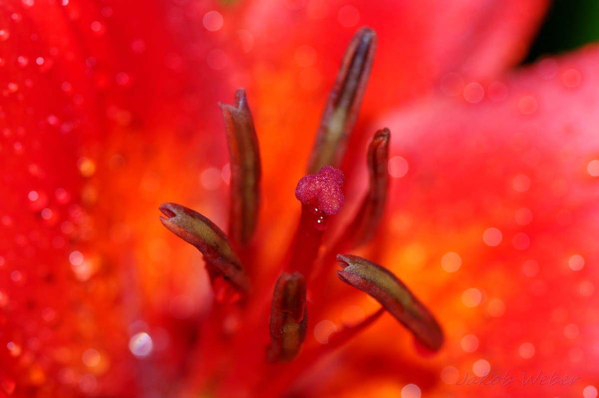 ������ ������� ����� ���� ����� �� PhotoGeek.ru #����� #������ ��� ������� #�������� ���������� #����� �������������� #������