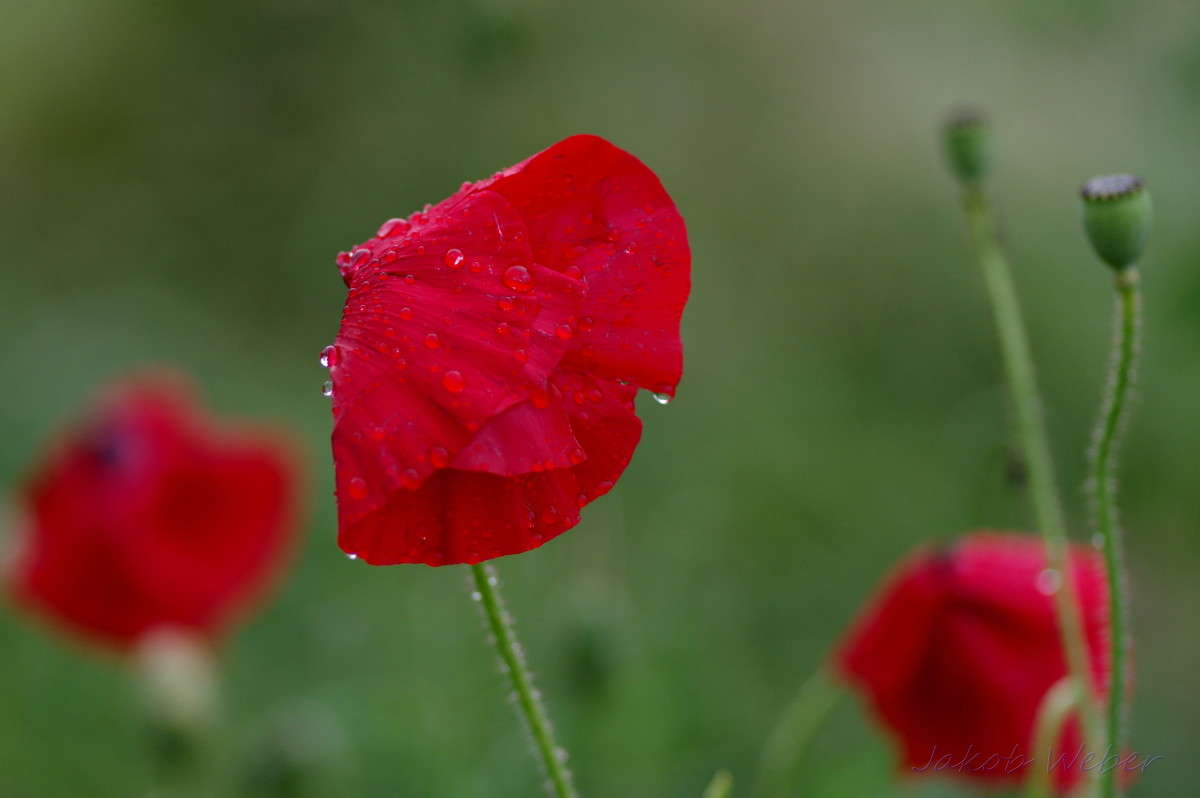 ����� ����� ����� ���� ����� �� PhotoGeek.ru #����� #������ ��� ������� #�������� ���������� #����� �������������� #������