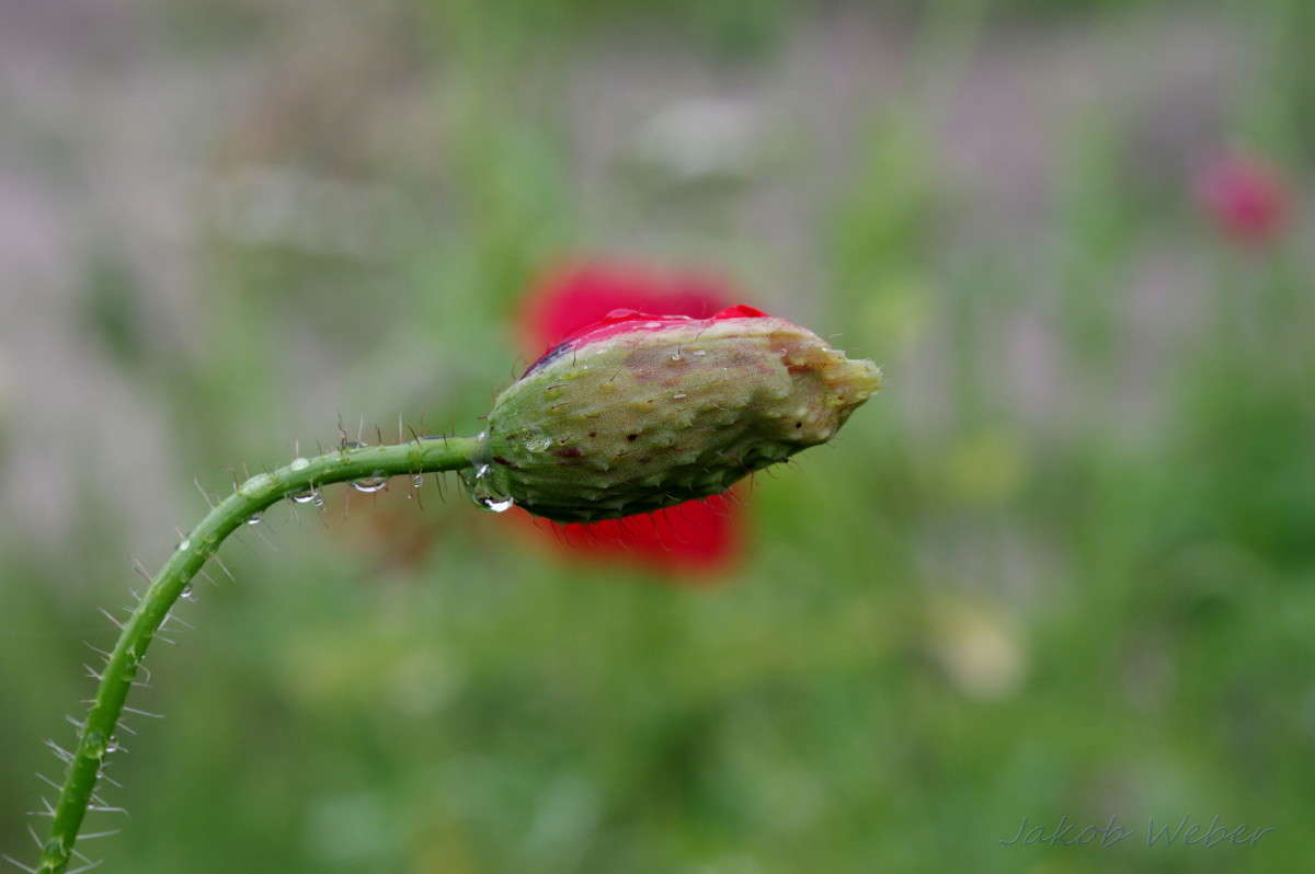 ��� ����������� ����� ���� ����� �� PhotoGeek.ru #����� #������ ��� ������� #�������� ���������� #����� �������������� #������