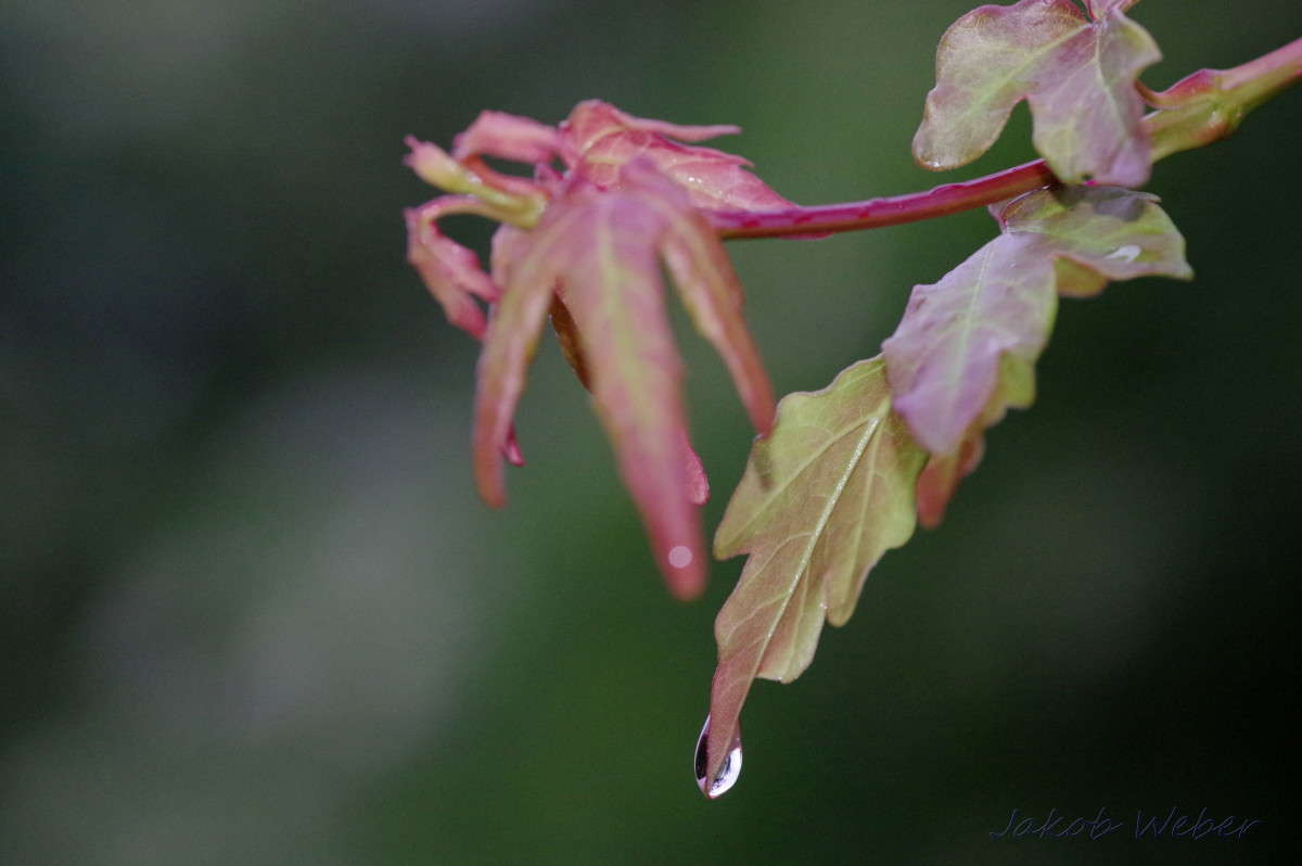 �����-���. ����� ���� ����� �� PhotoGeek.ru #������ ��� ������� #�������� ���������� #����� �������������� #������