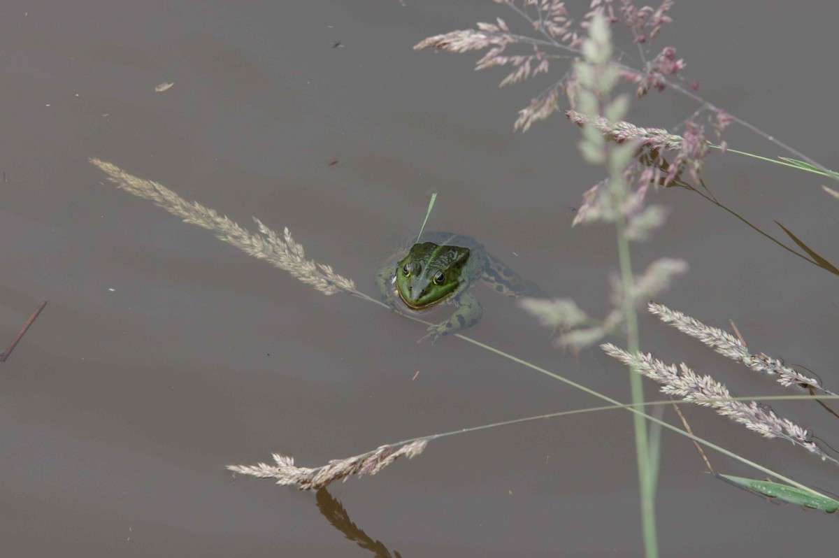 ������������ ��������� ����� ���� ����� �� PhotoGeek.ru #�������� ��� #������ ��� ������� #�������� ���������� #����� ��� ��� ��������� #������