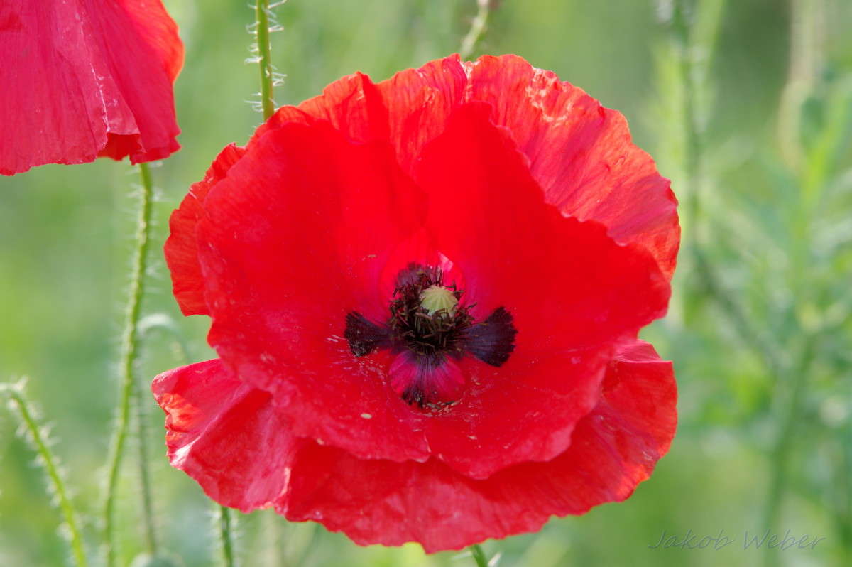 ������� ��� ����� ���� ����� �� PhotoGeek.ru #������ ��� ������� #�������� ���������� #����� �������������� #������