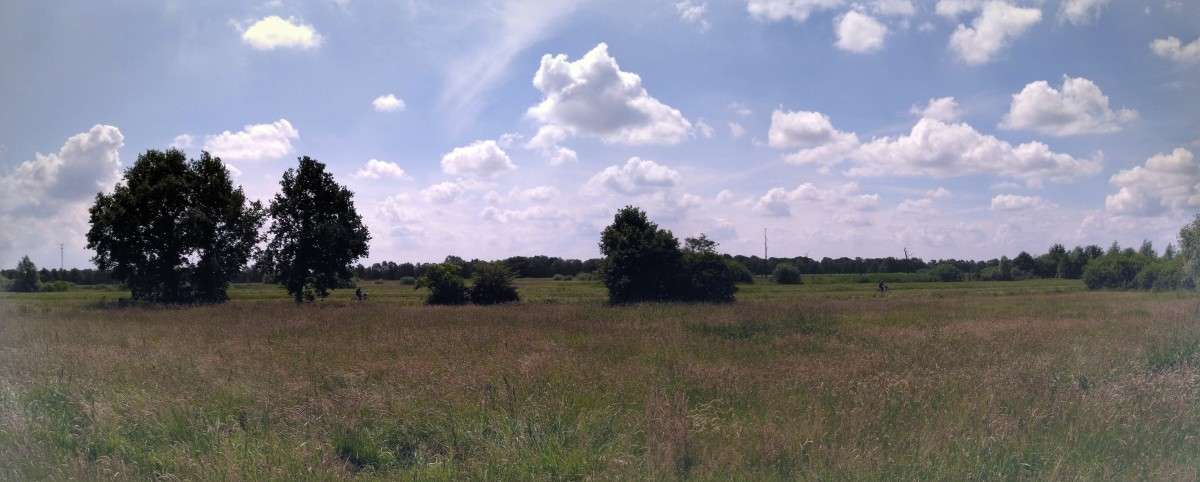 �������� ����� ���� ����� �� PhotoGeek.ru #������ ��� ������� #�������� ���������� #��������