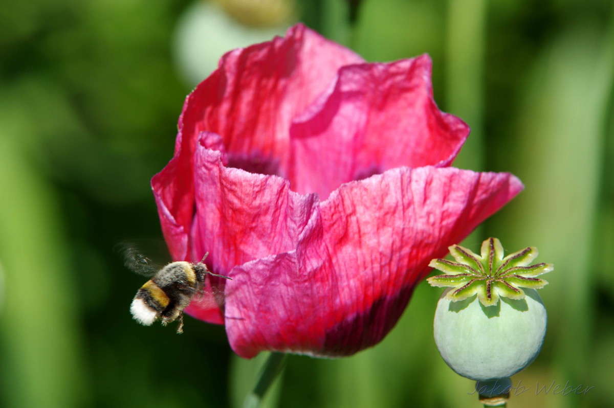 �������� ����� ���� ����� �� PhotoGeek.ru #�������� ��� #������ ��� ������� #�������� ���������� #����� �������������� #������