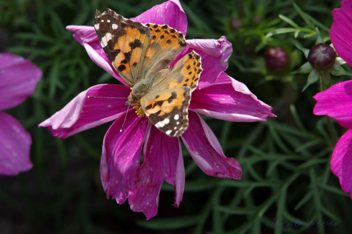 ���������� ����� ���� ����� �� PhotoGeek.ru #�������� ��� #������ ��� ������� #�������� ���������� #����� ��� ��� ��������� #����� ��������������