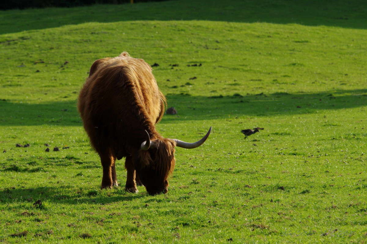 ������� ����� ���� ����� �� PhotoGeek.ru #�������� ��� #������ ��� ������� #�������� ���������� #�������� ��� #������