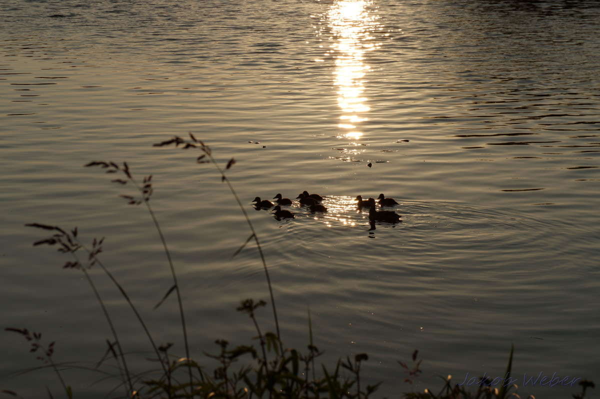 ����� �� �������� ����� ���� ����� �� PhotoGeek.ru #�������� ��� #������ ��� ������� #�������� ���������� #������ #����� ��������