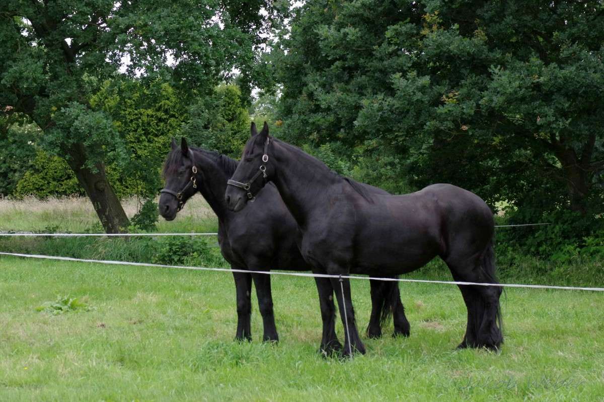 ��� �������. ����� ���� ����� �� PhotoGeek.ru #�������� ��� #������ ��� ������� #�������� ���������� #������