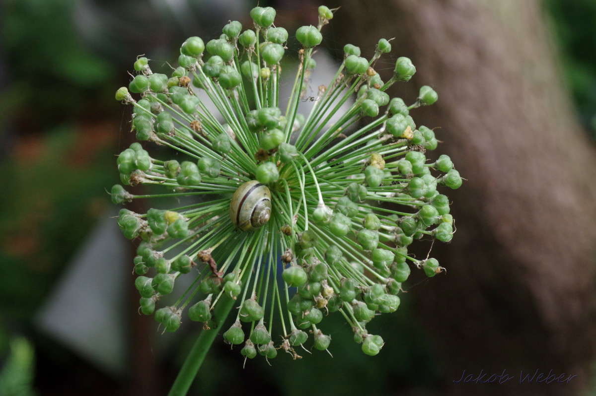 ������������ ����� ���� ����� �� PhotoGeek.ru #�������� ��� #������ ��� ������� #�������� ���������� #����� �������������� #������