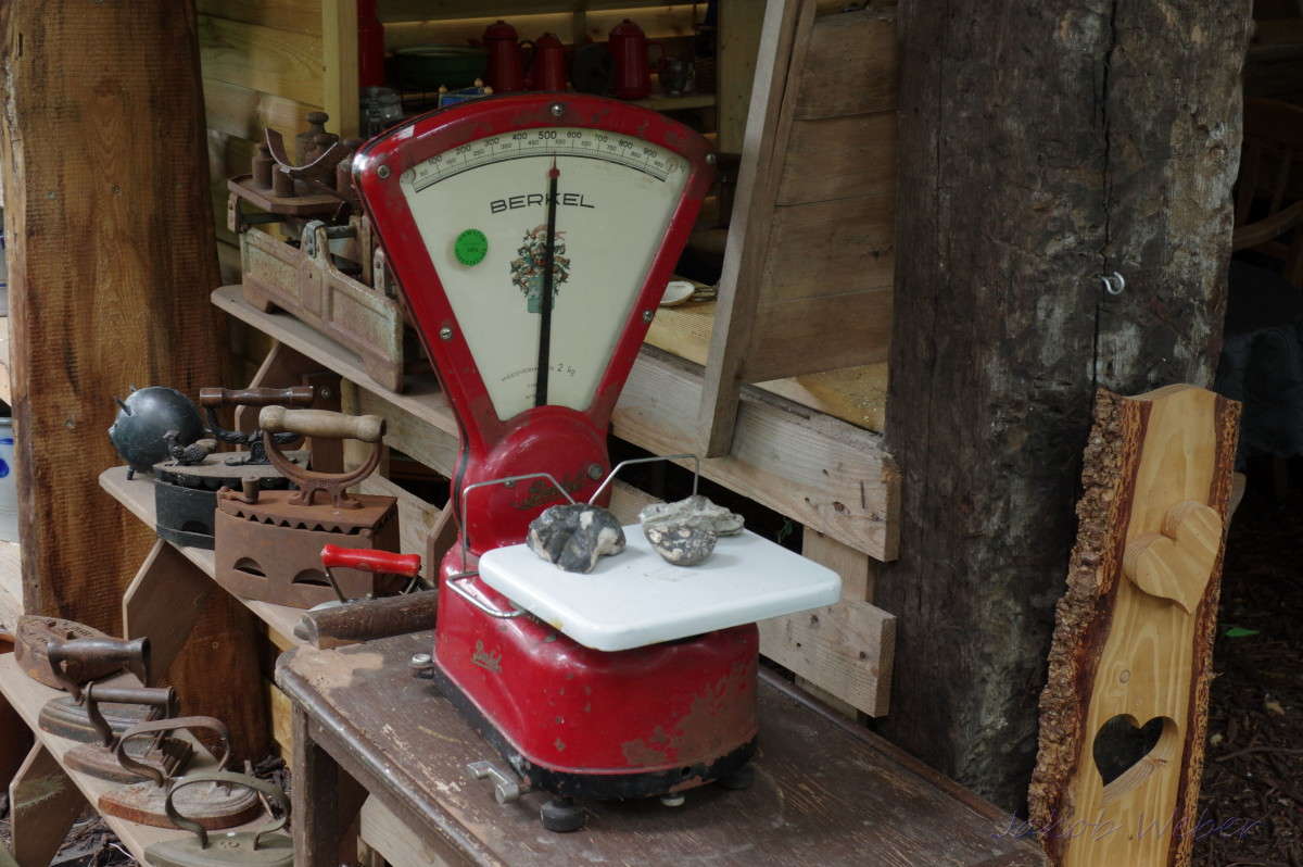 ���� ����� ���� ����� �� PhotoGeek.ru #�������� ����������