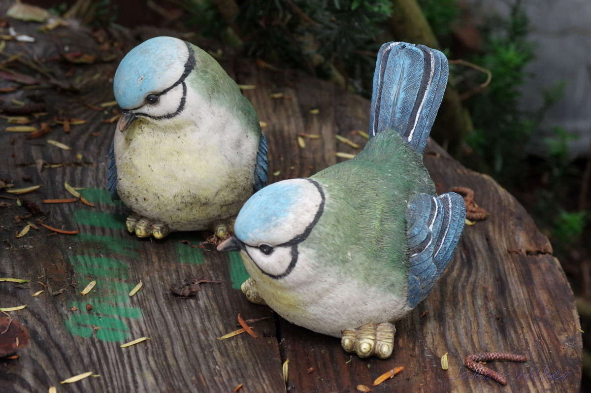 ������� ����� ���� ����� �� PhotoGeek.ru #��������� #�������� ����������