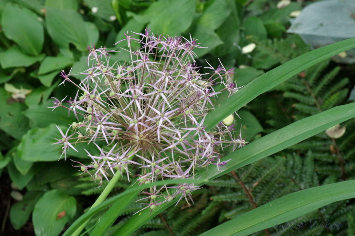 ����� ����� ���� ����� �� PhotoGeek.ru