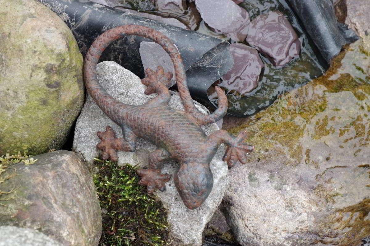 ������ ����� ���� ����� �� PhotoGeek.ru #������ ��� ������� #�������� ���������� #������