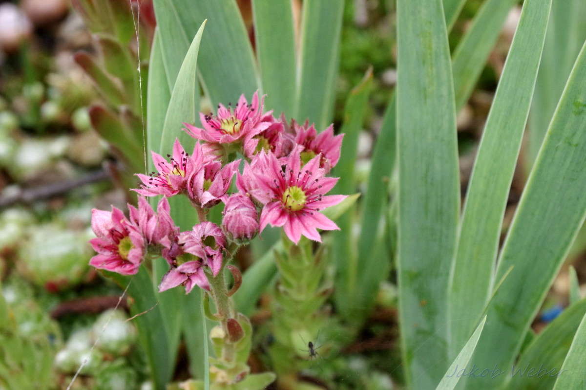 �������� ����� ���� ����� �� PhotoGeek.ru #������ ��� ������� #�������� ���������� #����� �������������� #������