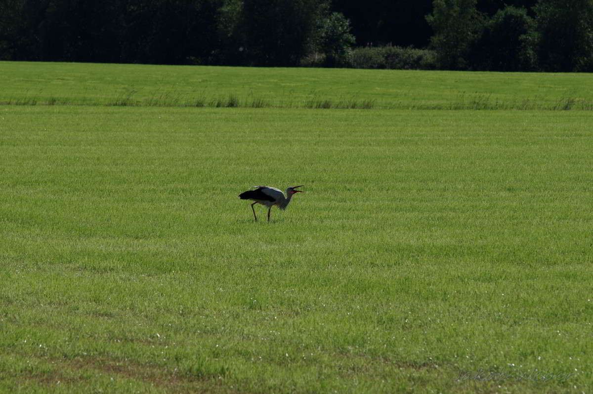 ������ ����� ���� ����� �� PhotoGeek.ru #�������� ��� #������ ��� ������� #������