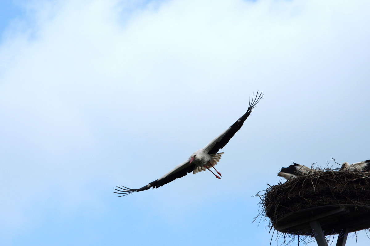 ������� ����� ���� ����� �� PhotoGeek.ru #�������� ��� #������ ��� ������� #������ #����� ��������