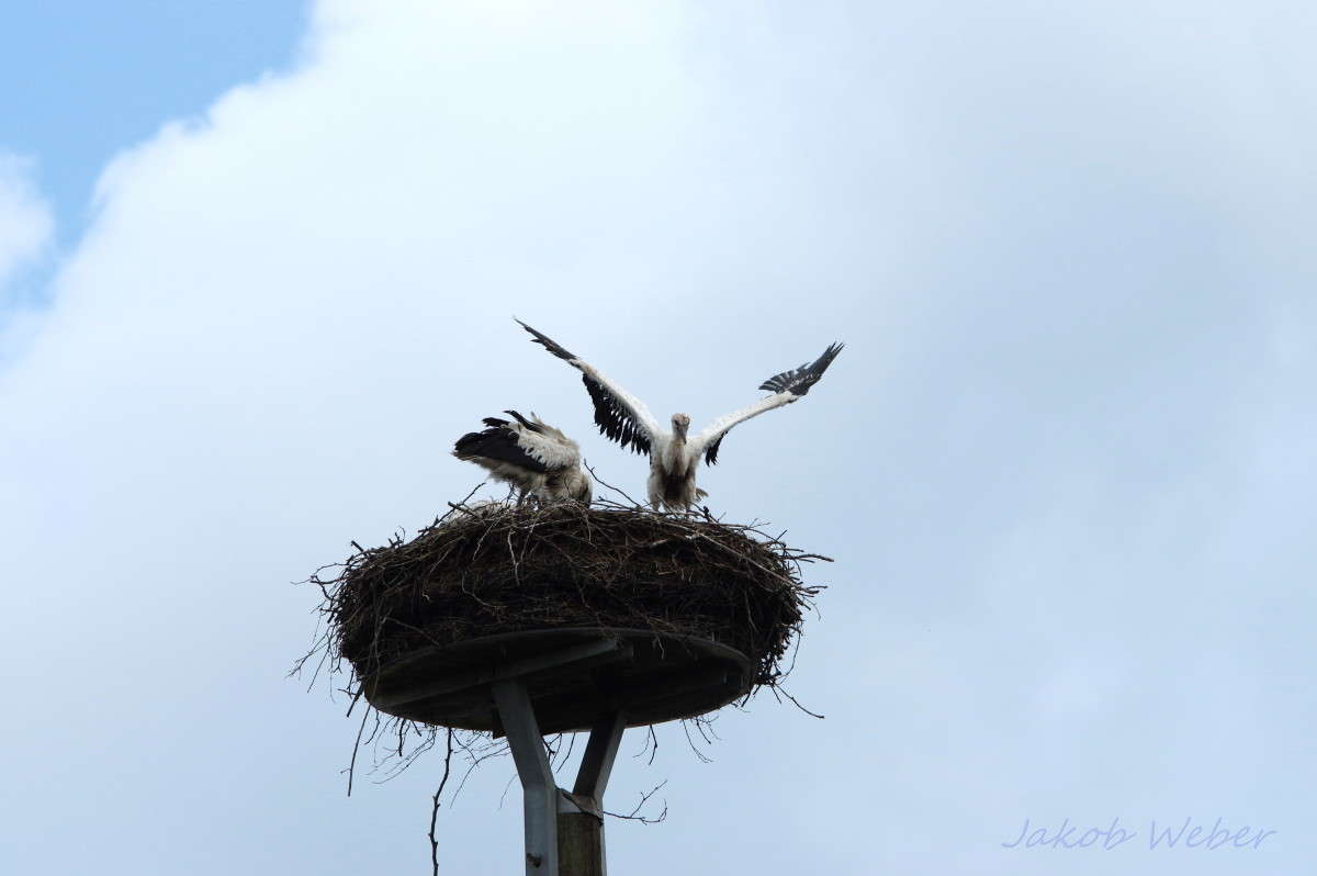 ����� ���� ����� ���� ����� �� PhotoGeek.ru #�������� ��� #������ ��� ������� #�������� ���������� #����� ��� ��� ��������� #������