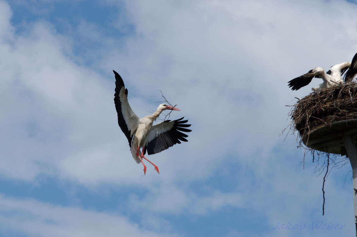 ���� �� ������ 2 ����� ���� ����� �� PhotoGeek.ru #�������� ��� #������ ��� ������� #�������� ���������� #������