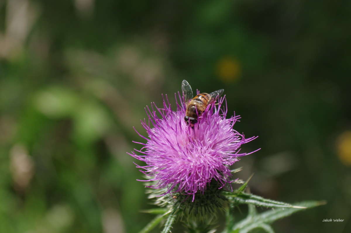 �������� ����� ���� ����� �� PhotoGeek.ru #�������� ��� #������ ��� ������� #�������� ���������� #������ #����� ��������