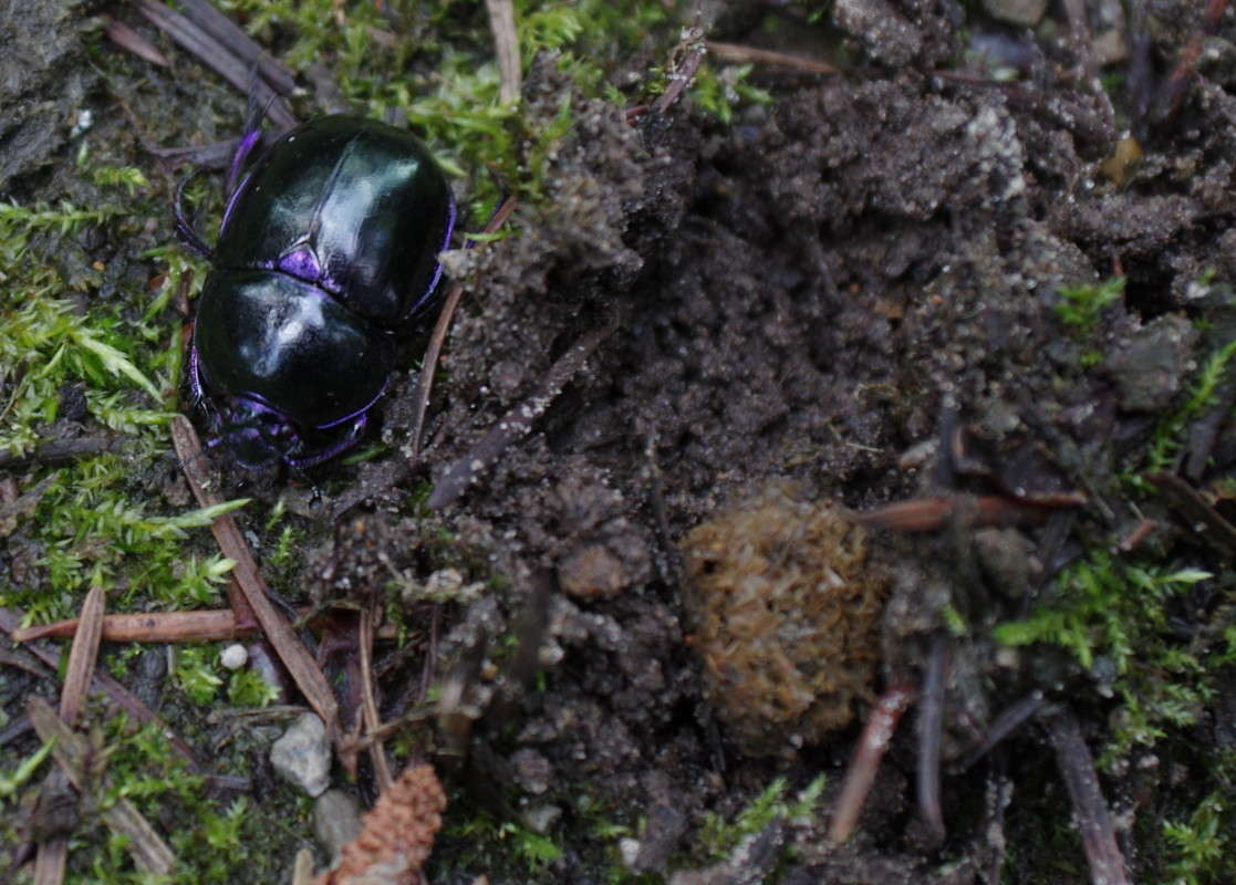 ��� ����� ���� ����� �� PhotoGeek.ru #�������� ��� #������ ��� ������� #�������� ���������� #������