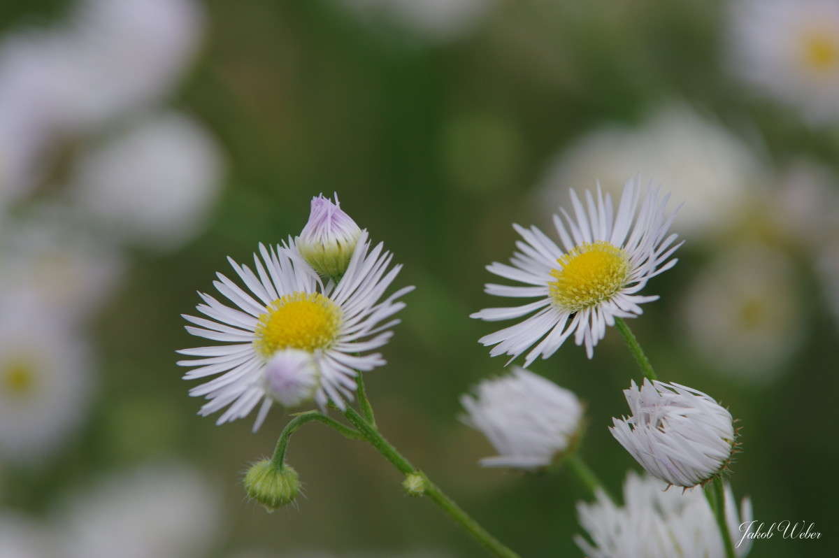 ������� ����� ���� ����� �� PhotoGeek.ru #������ ��� ������� #����� �������������� #������