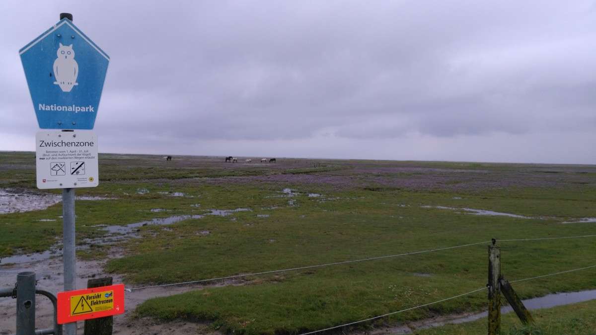 ������� �� �������� ����� ���� ����� �� PhotoGeek.ru #�������� ��� #������ ��� ������� #�������� ���������� #����� �������������� #������