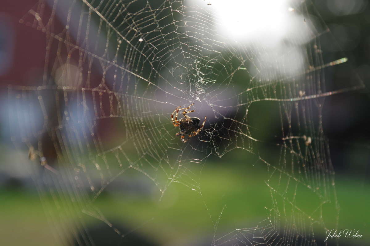 ����� ����� ����� ���� ����� �� PhotoGeek.ru #�������� ��� #������ ��� ������� #������