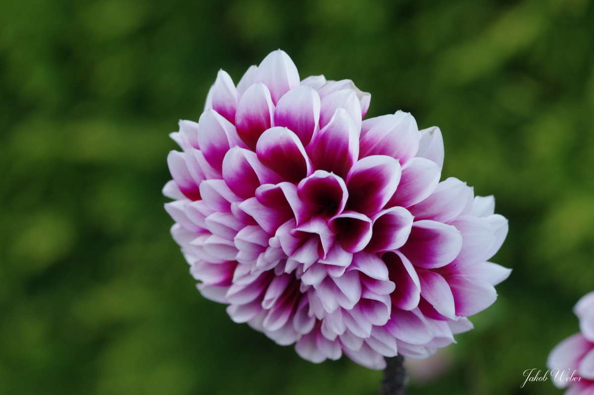 ����������� ����� ���� ����� �� PhotoGeek.ru #������ ��� ������� #����� �������������� #������